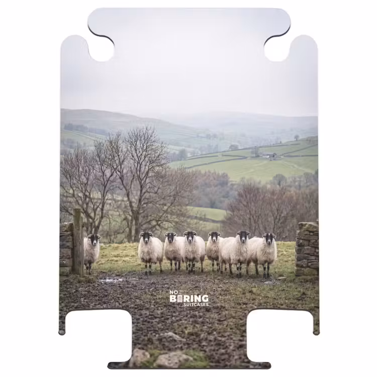CaseSwap™ - Moutons - Chemin - Prairie - Animaux - Campagne — 1