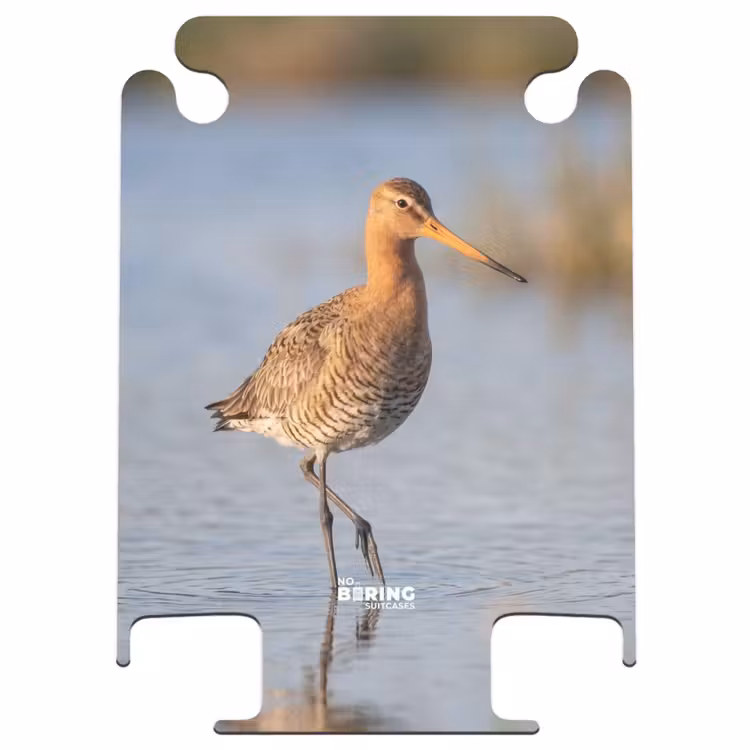 CaseSwap - Oiseau - Limicole - Eau - Nature — 1