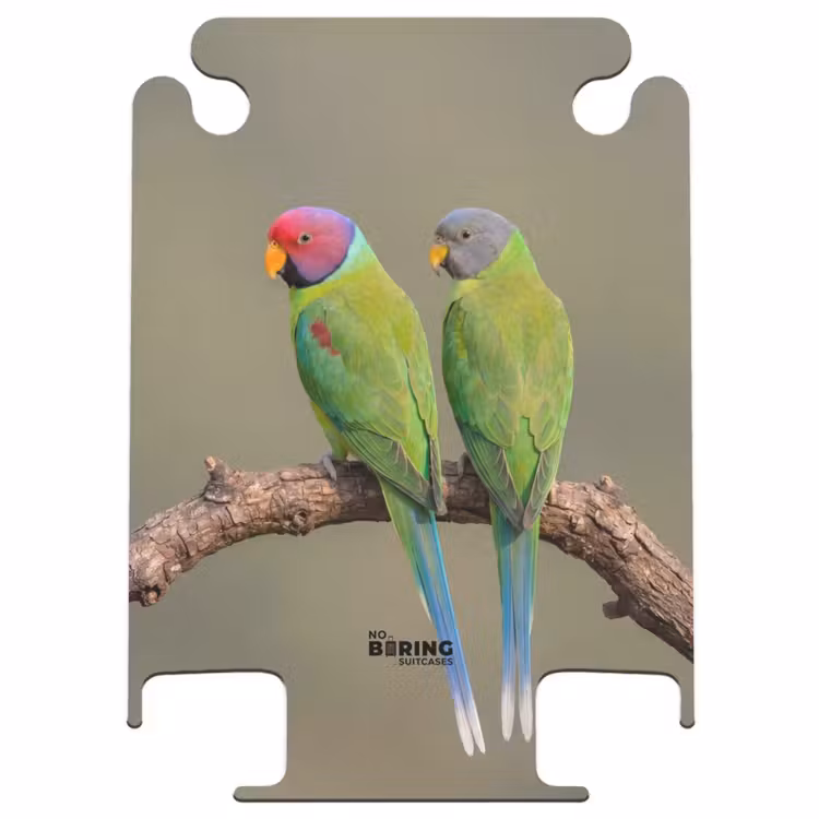 CaseSwap™ - Perroquet - Branche - Nature - Coloré — 1