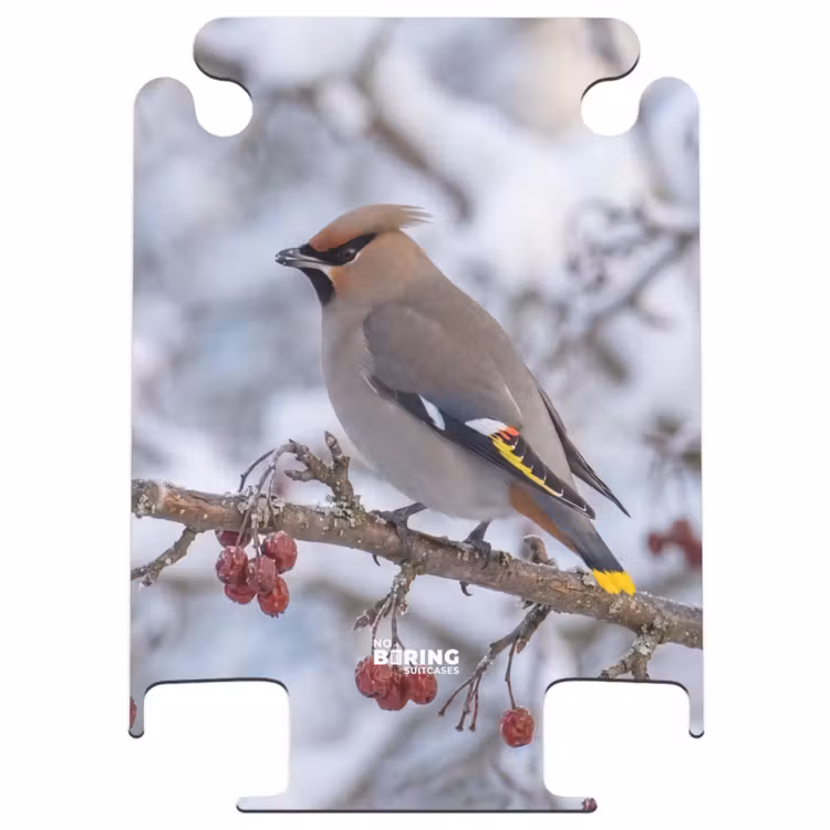 CaseSwap™ - Pitire - Baies - Hiver - Nature — 1
