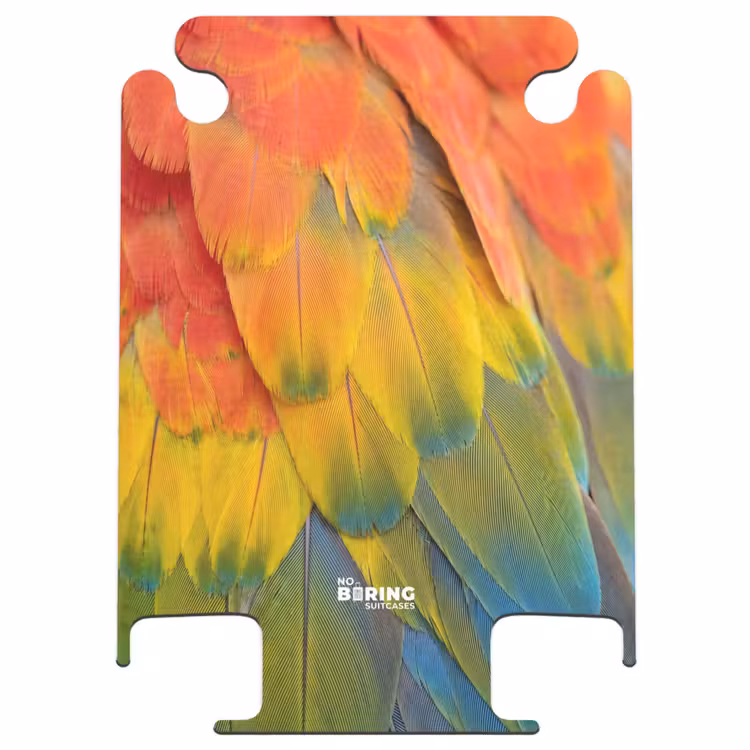CaseSwap™ - Plumes - Ara - Colorées — 1