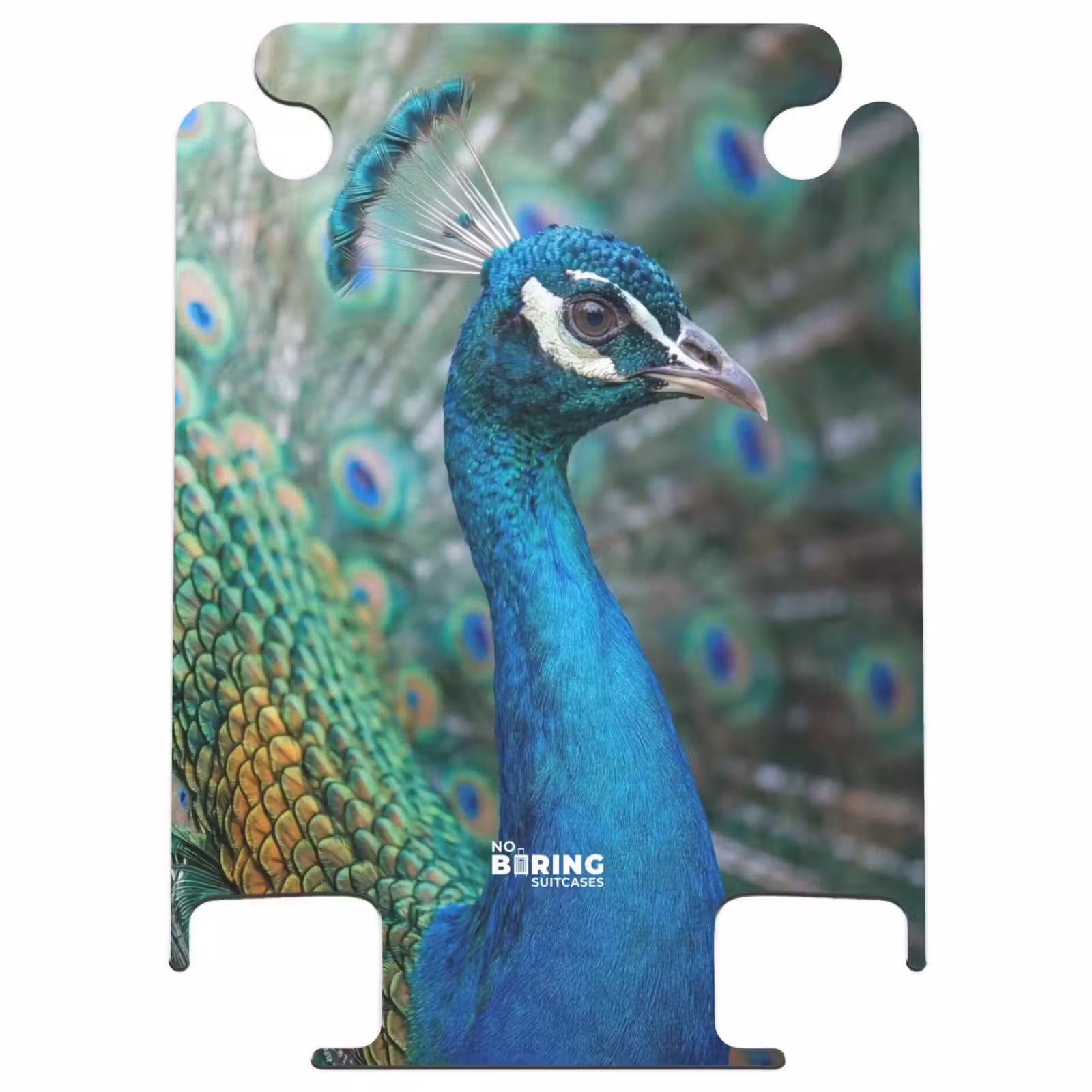 CaseSwap - Paon - Plumes - Bleu — 1