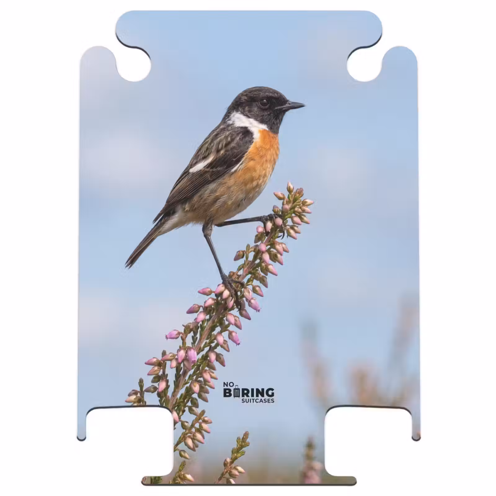 CaseSwap - Rouge-gorge familier - Landes - Violet - Nature - Chaleureux — 1
