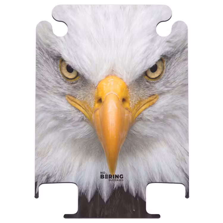 CaseSwap™ - Américain - Aigle de mer - Portrait - Jaune — 1