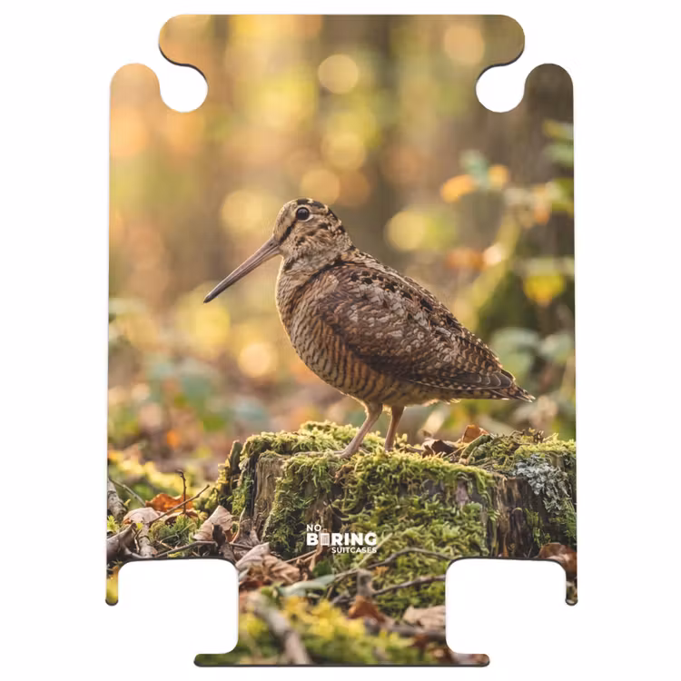 CaseSwap™ - Bécasse des bois - Forêt - Feuilles - Automne - Camouflée — 1