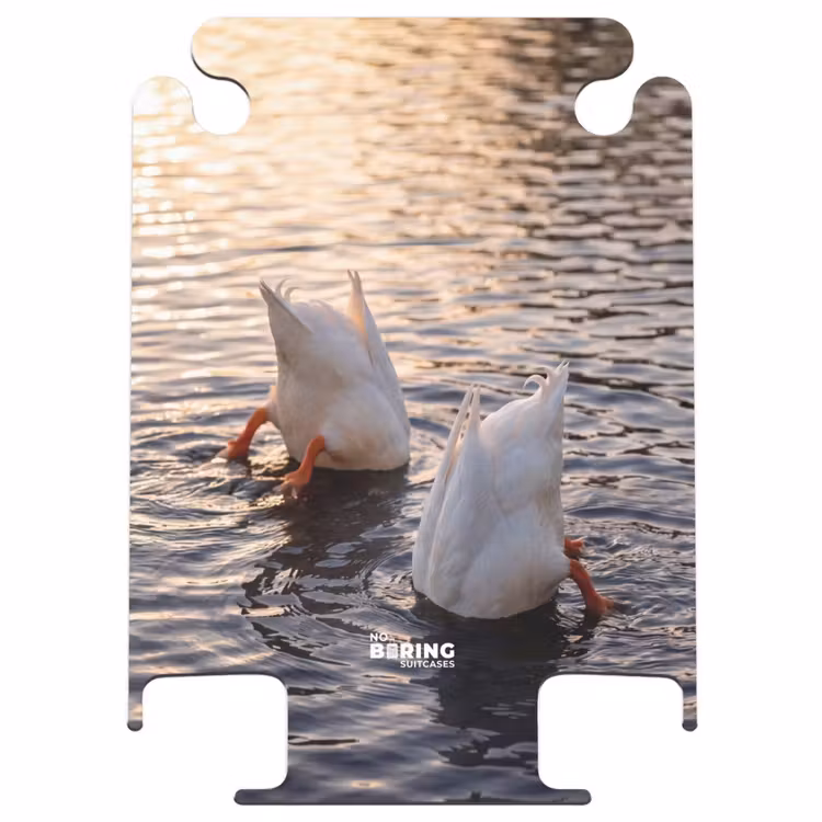 CaseSwap™ - Canards - Eau - Nature — 1
