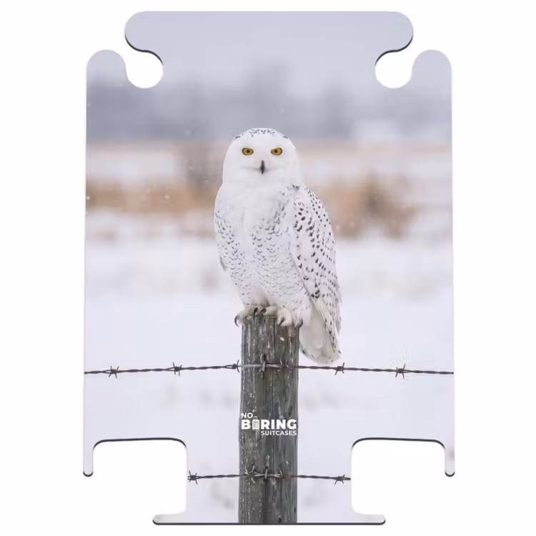 CaseSwap - Chouette des neiges - Clôture - Neige - Blanc — 1