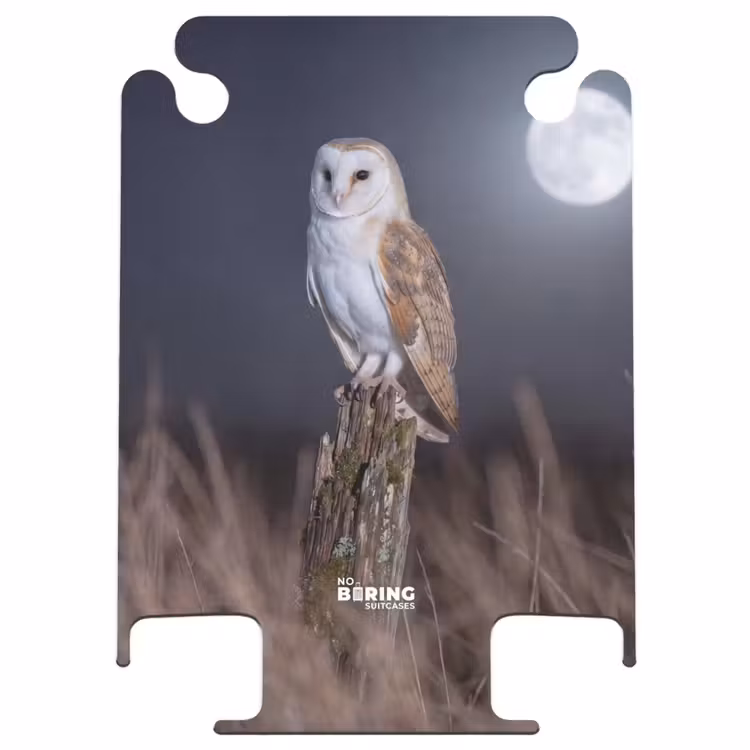 CaseSwap™ - Chouette effraie - Lune - Nuit — 1