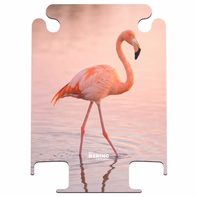 CaseSwap - Flamant rose - Eau - Rose — 1