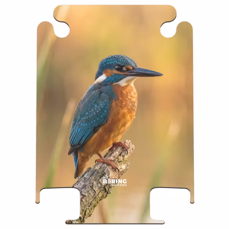 CaseSwap™ - Martin-pêcheur - Branche - Eau - Coloré - Vivant — 1