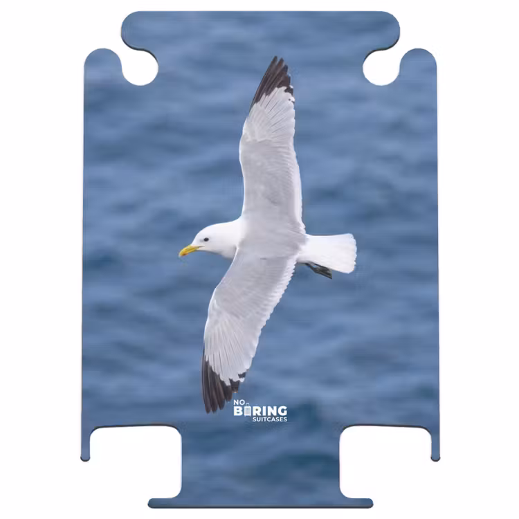 CaseSwap™ - Mouette - Océan - Bleu — 1