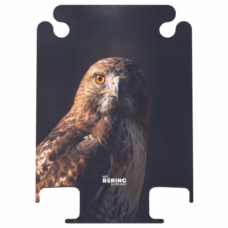 CaseSwap™ - Oiseau de proie - Buse - Brune — 1