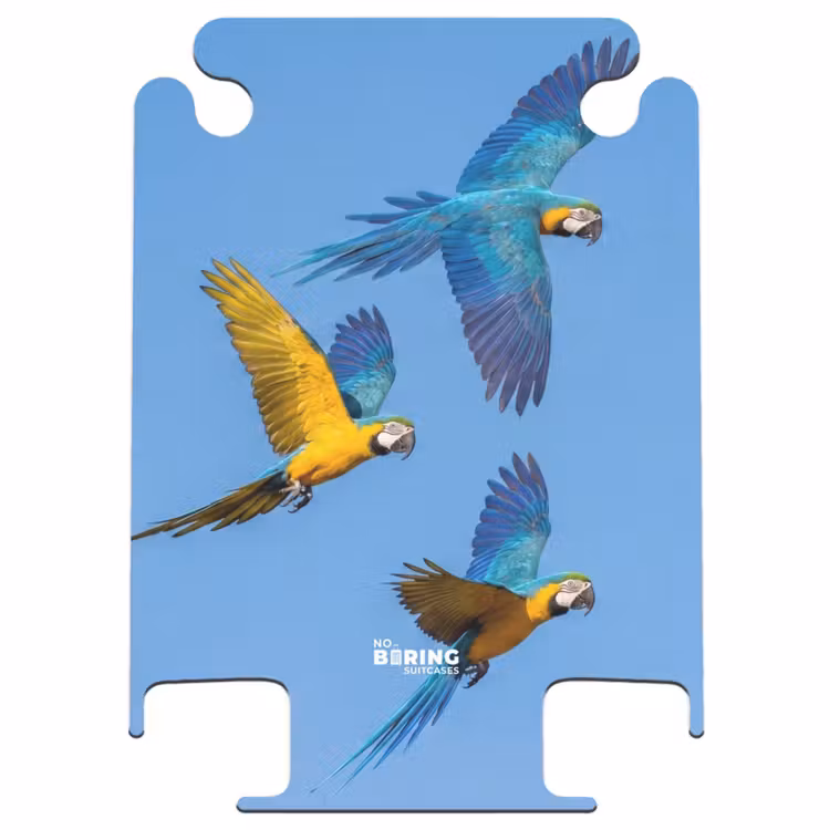 CaseSwap™ - Perroquet - Voler - Bleu - Jaune — 1