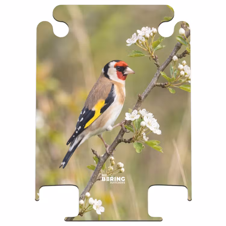 CaseSwap™ - Putter - Fleurs - Printemps - Nature - Coloré — 1