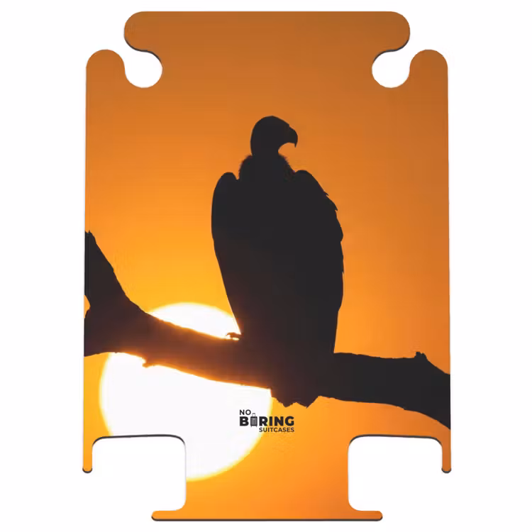 CaseSwap - Vautour - Branche - Soleil - Orange — 1
