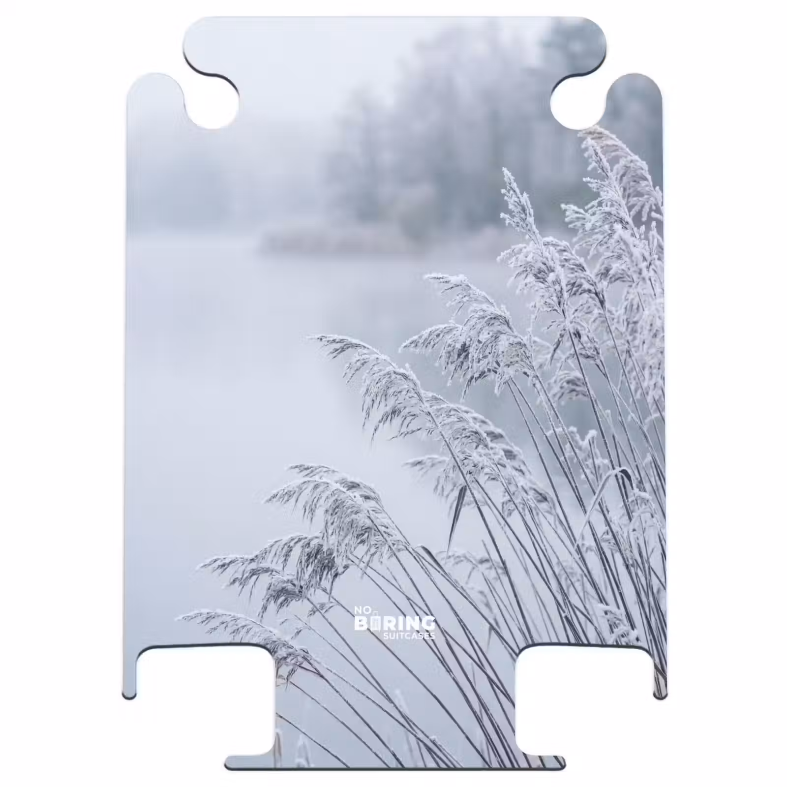 CaseSwap™ - Roseaux - Gelés - Hiver - Nature — 1