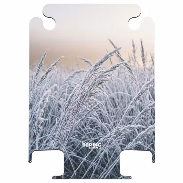 CaseSwap™ - Givre - Herbe - Cristaux - Hiver - Minimaliste — 1