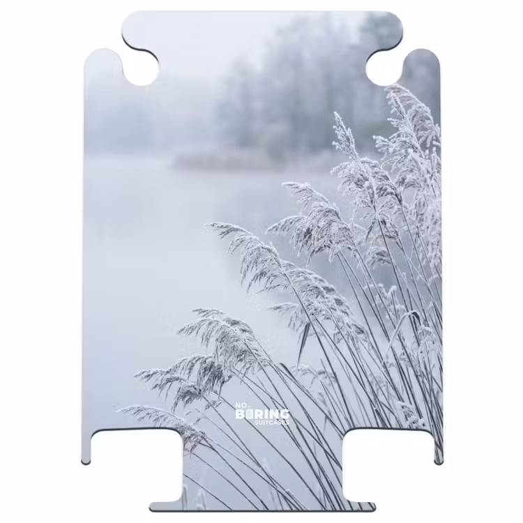 CaseSwap™ - Roseaux - Gelés - Hiver - Nature — 1