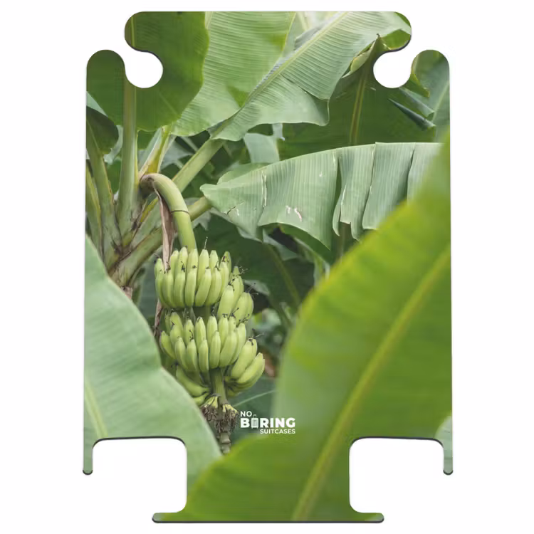 CaseSwap™ - Alimentation - Bananes - Plantation - Vert — 1