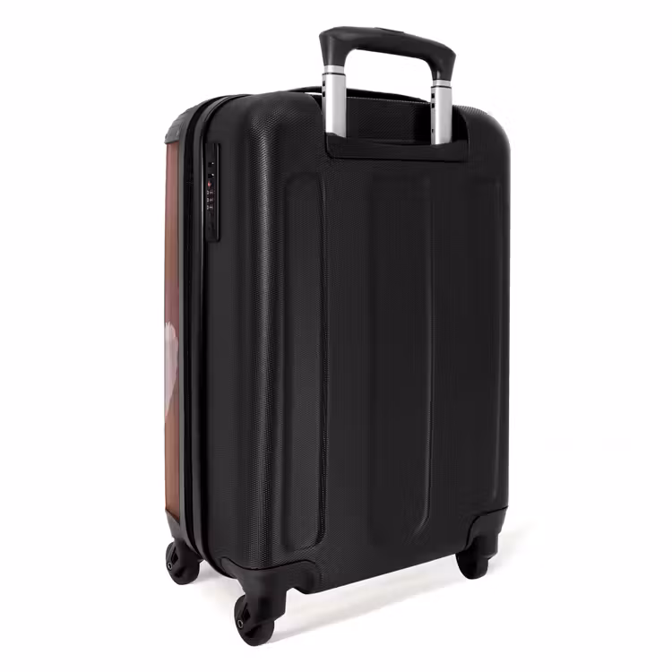 Valise - Abstrait - Figure - Illustration - Chapeau — 4