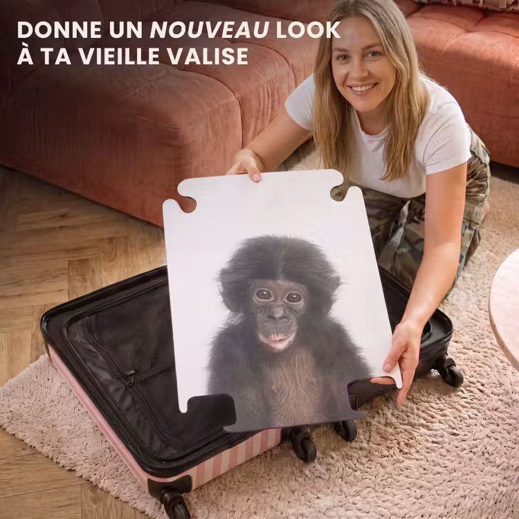 CaseSwap - Charlie Chimp — 3