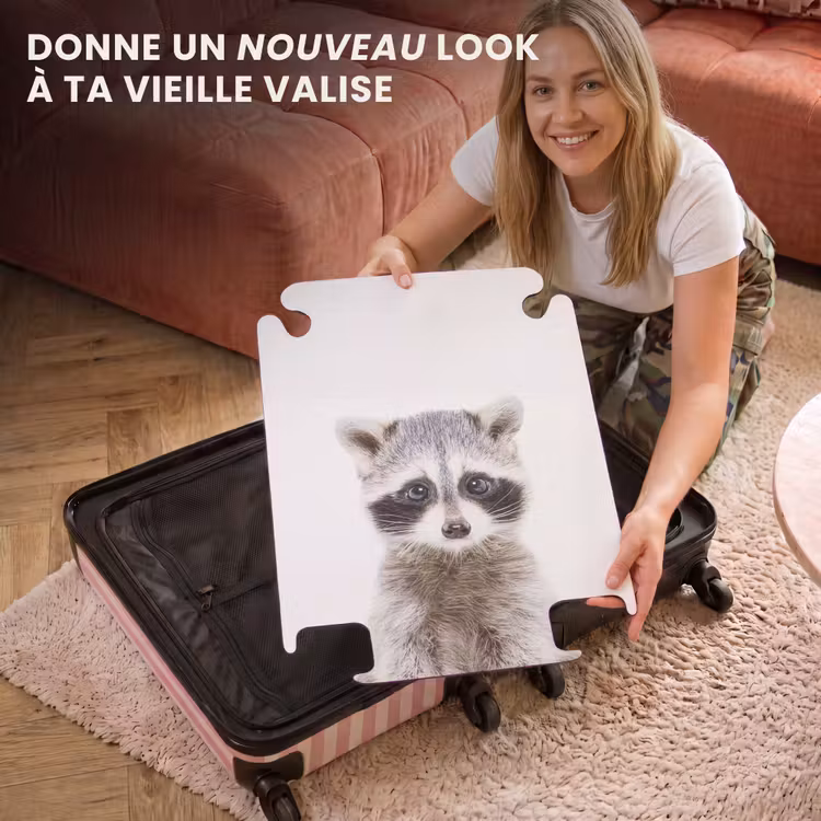 CaseSwap - Rachid Racoon — 3