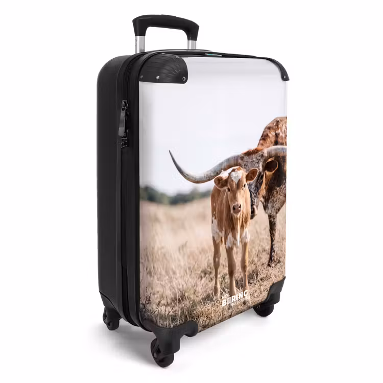 CaseSwap - Longhorn du Texas - Veau - Pâturage - Animaux — 2