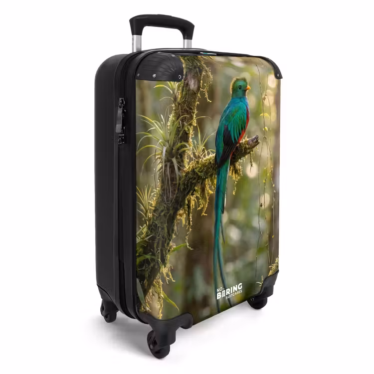 CaseSwap - Quetzal - Jungle - Nature - Vert — 2