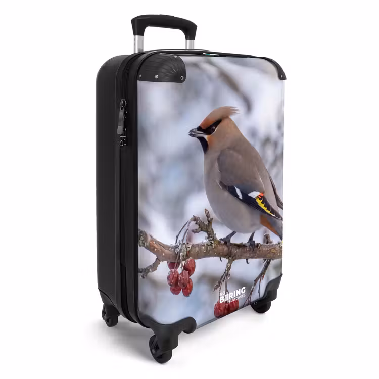 CaseSwap™ - Pitire - Baies - Hiver - Nature — 2