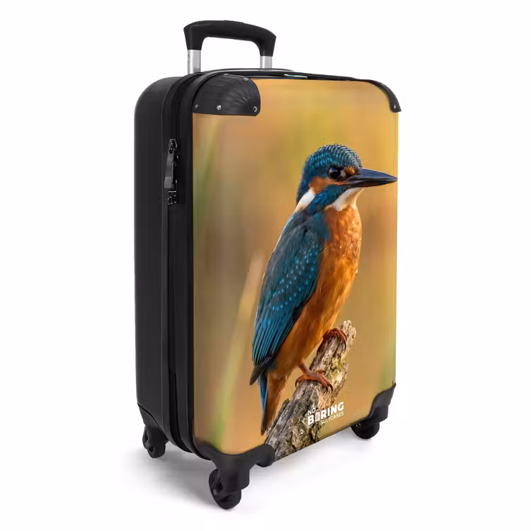 CaseSwap™ - Martin-pêcheur - Branche - Eau - Coloré - Vivant — 2