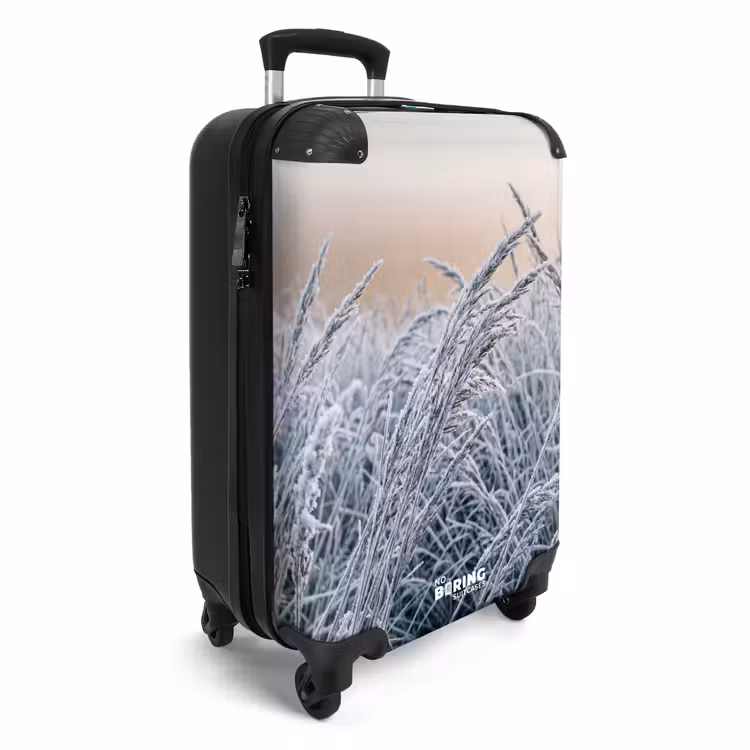 CaseSwap™ - Givre - Herbe - Cristaux - Hiver - Minimaliste — 2