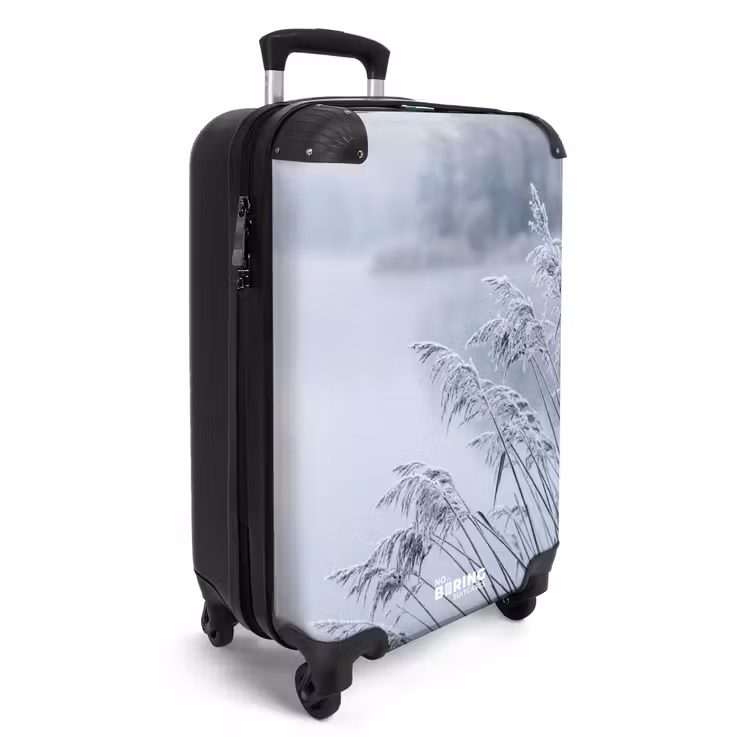 CaseSwap™ - Roseaux - Gelés - Hiver - Nature — 2