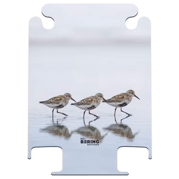 CaseSwap - Oiseaux - Eau - Gris — 1
