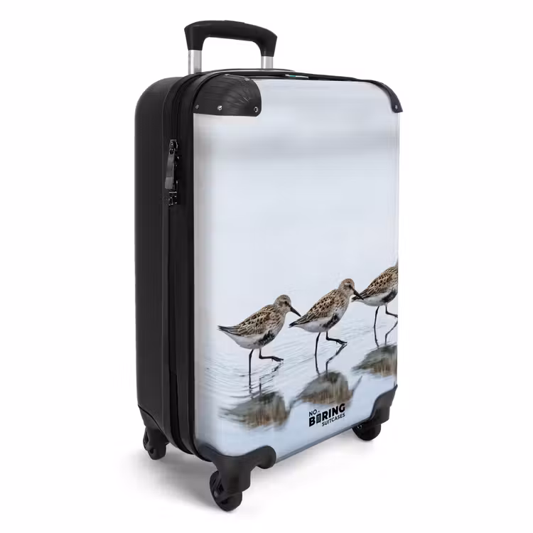CaseSwap - Oiseaux - Eau - Gris — 2