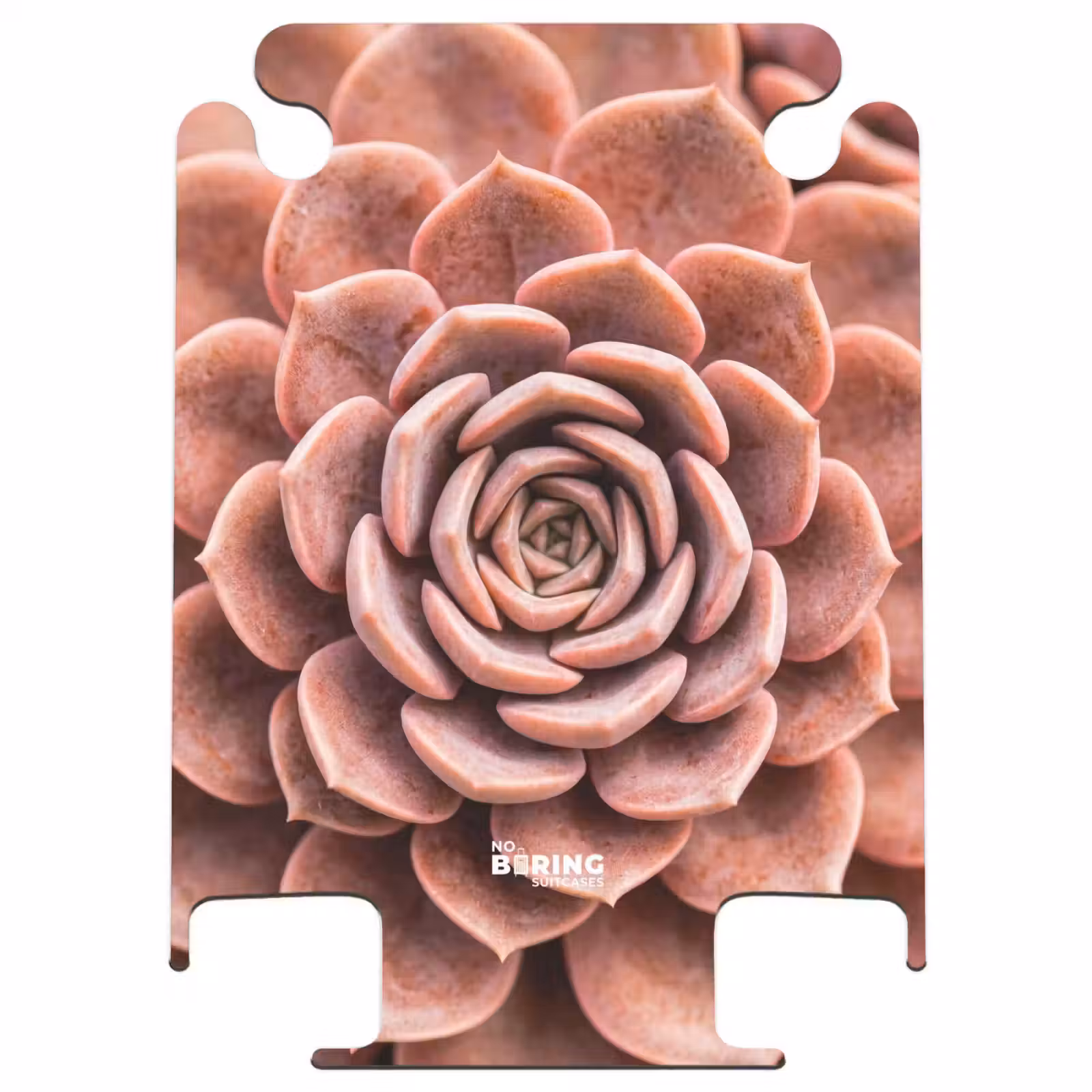 CaseSwap - Plante grasse - Biologique - Rose — 1