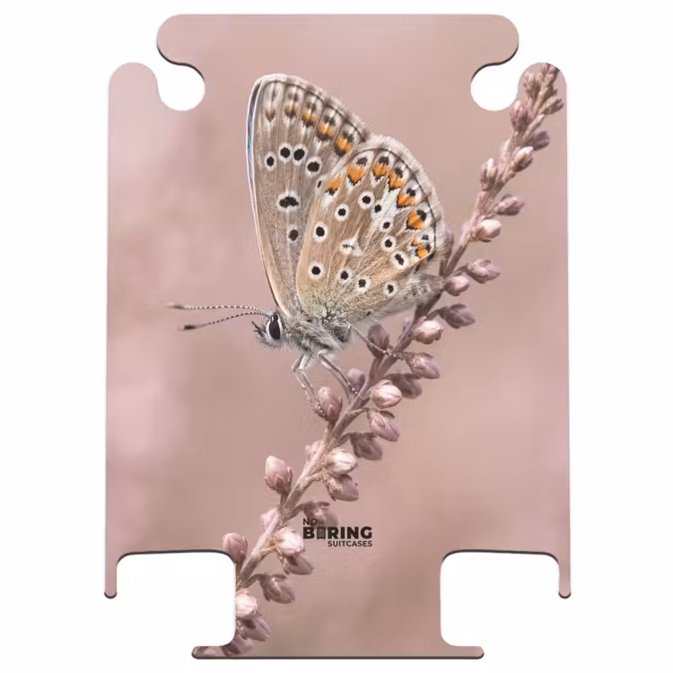 CaseSwap - Lavande - Papillon - Violet — 1
