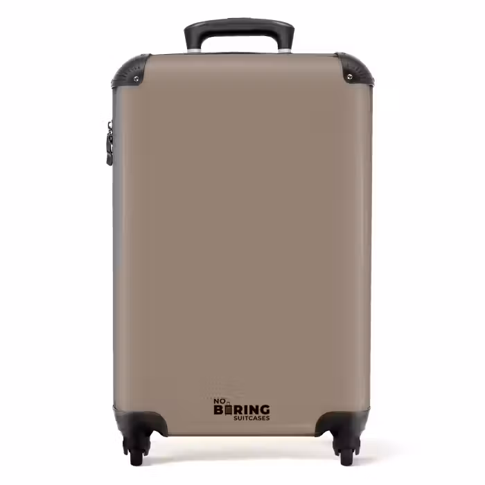 Valise - Teinte taupe terreux