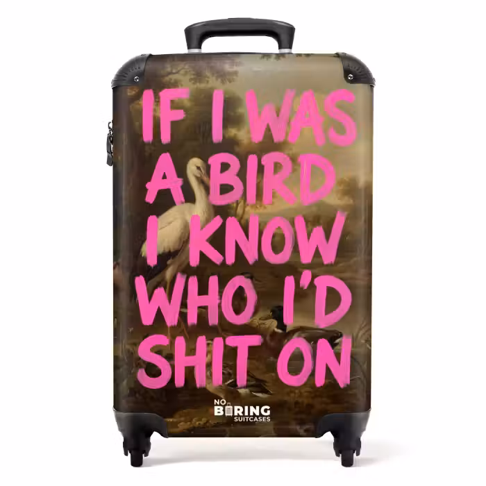 Valise - Classique - Humour - Rose