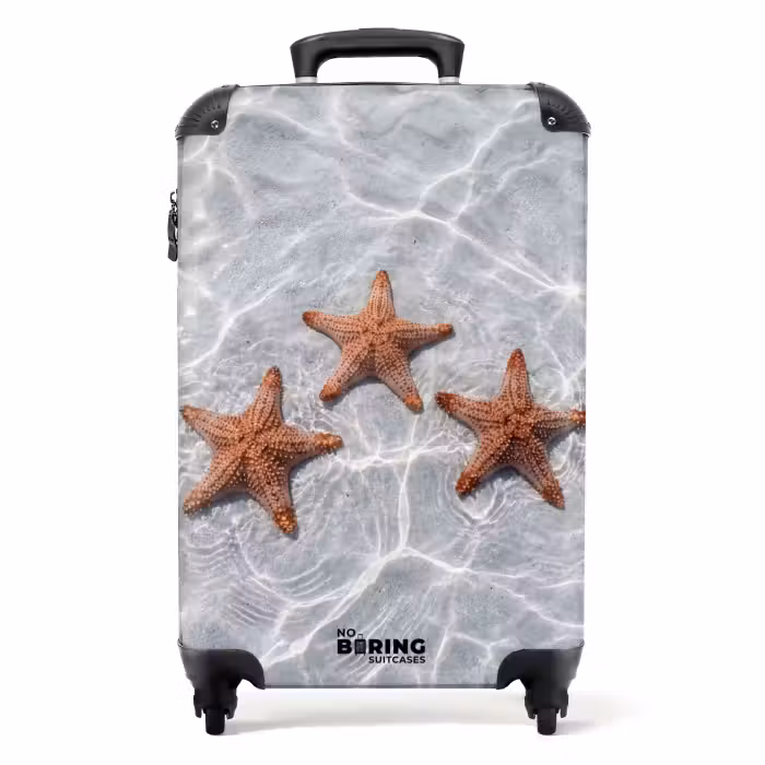 Valise - Étoile de mer - Eau - Clair
