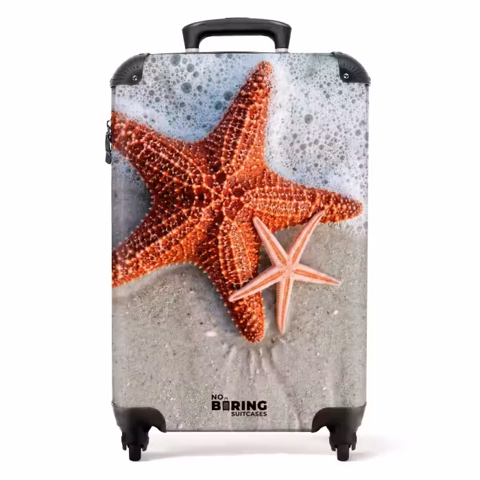 Valise - Étoile de mer - Plage - Mer